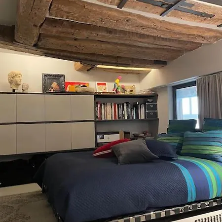 Apartment Golden Braque: Luxury Meet History